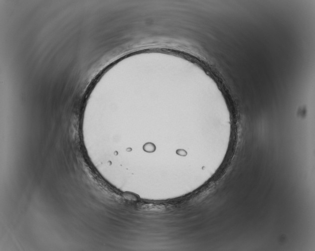 X0000116461505201001061027
