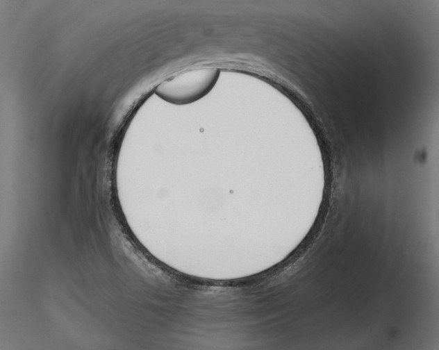 X0000116461506201001061027