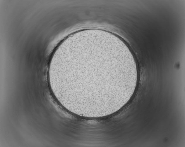 X0000116461507201001061027
