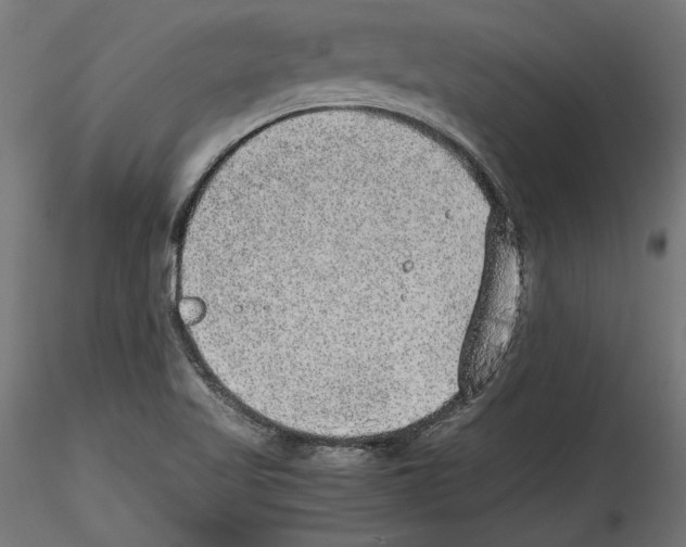 X0000116461509201001061027