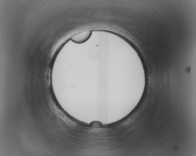 X0000116461510201001061027