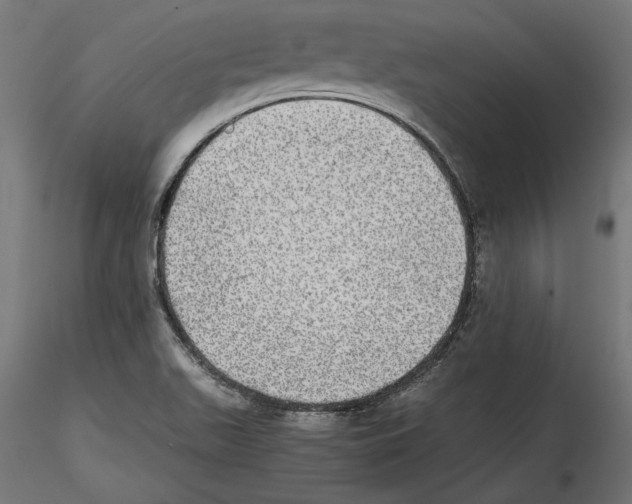 X0000116461511201001061027
