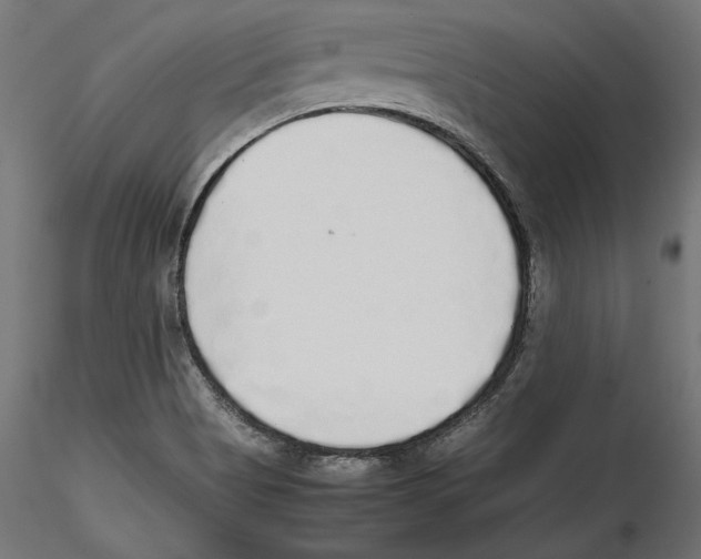 X0000116461513201001061027