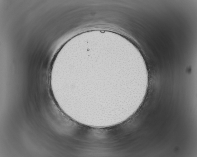 X0000116461514201001061027
