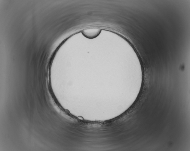 X0000116461515201001061027