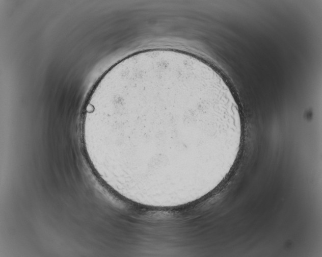 X0000116461517201001061027