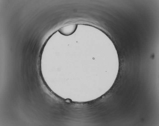 X0000116461518201001061027