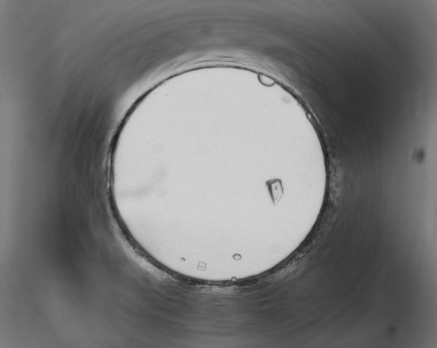 X0000116461519201001061027
