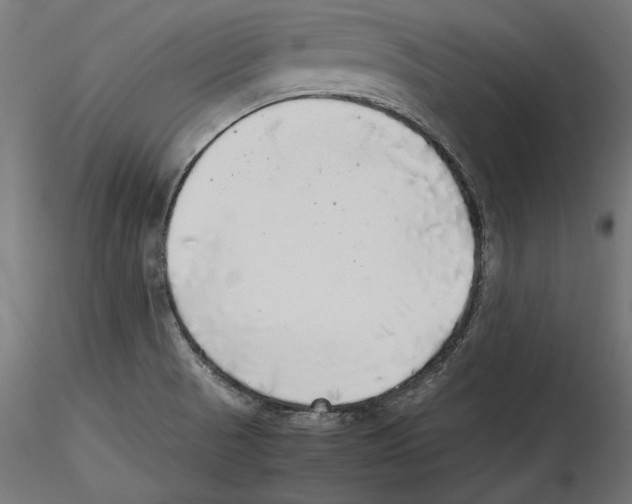 X0000116461521201001061027
