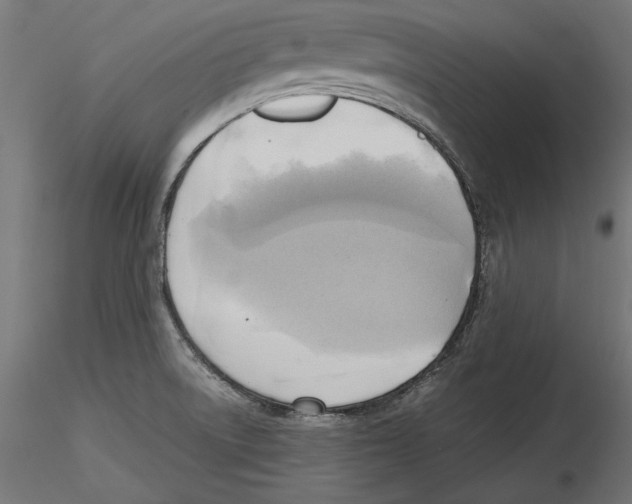 X0000116461522201001061027