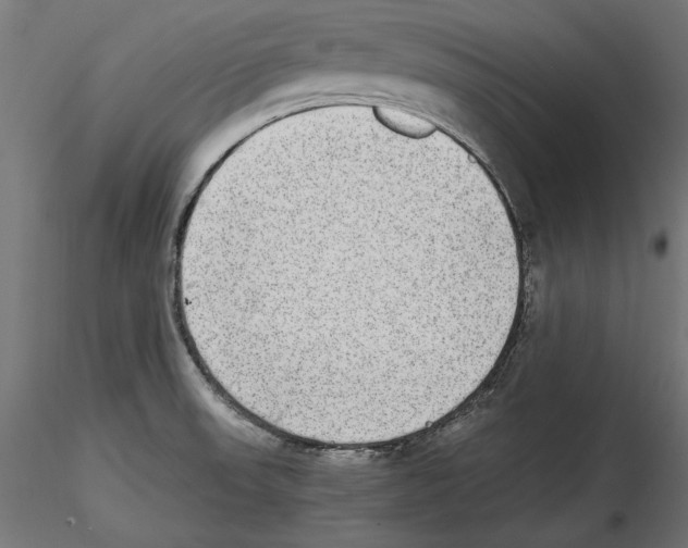 X0000116461523201001061027
