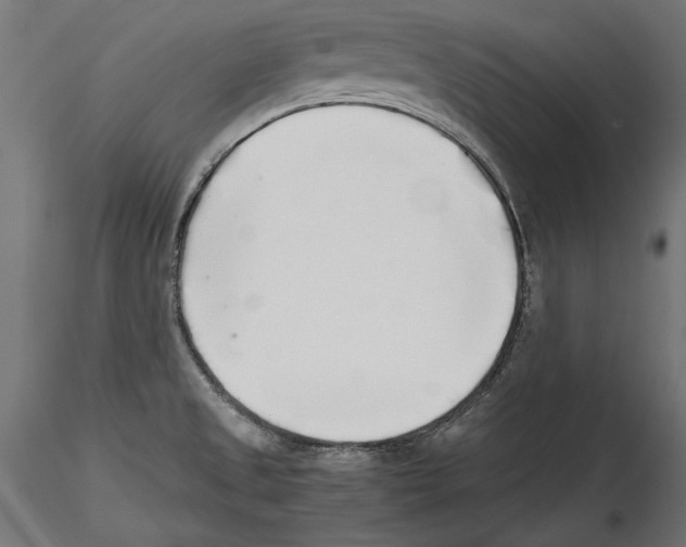 X0000116461525201001061027