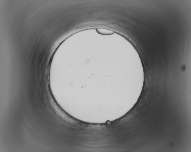 X0000116461526201001061027