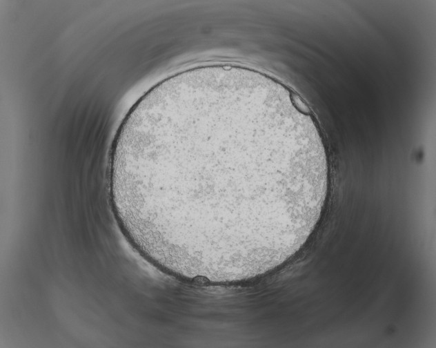 X0000116461527201001061027