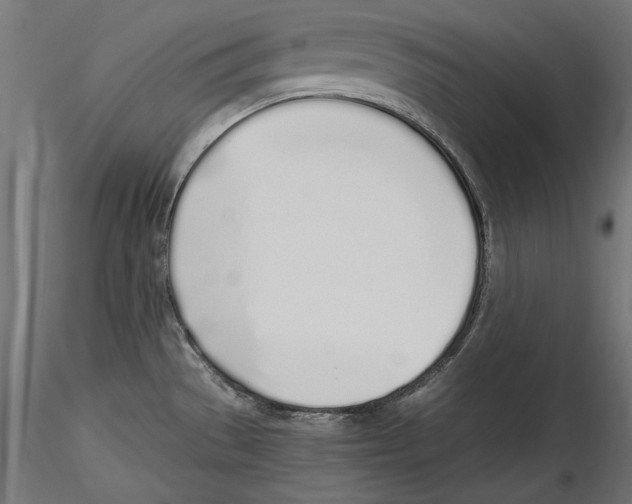 X0000116461529201001061027