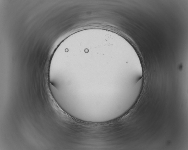X0000116461530201001061028