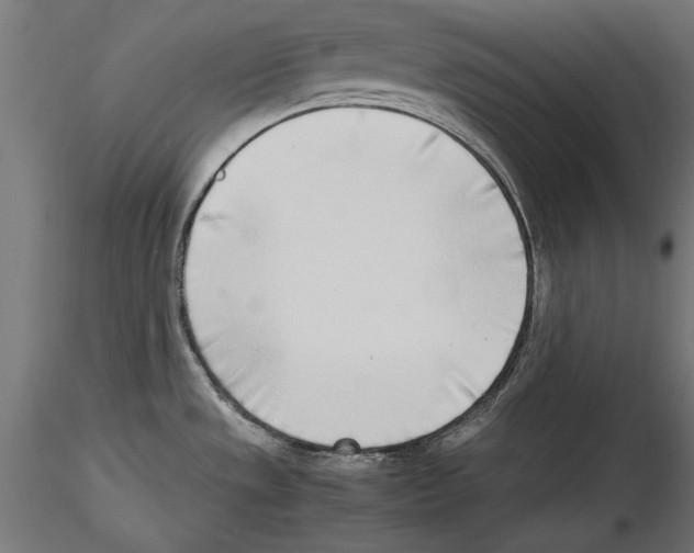 X0000116461533201001061028