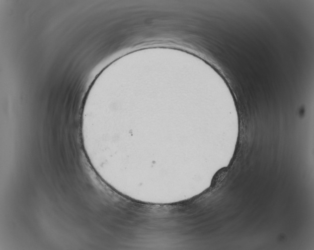 X0000116461534201001061028