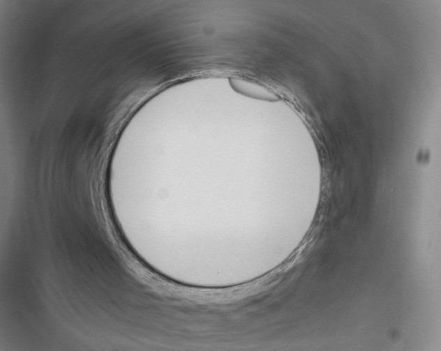 X0000116460001201001201310