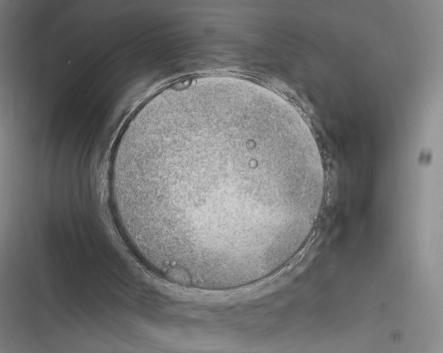 X0000116460002201001201310