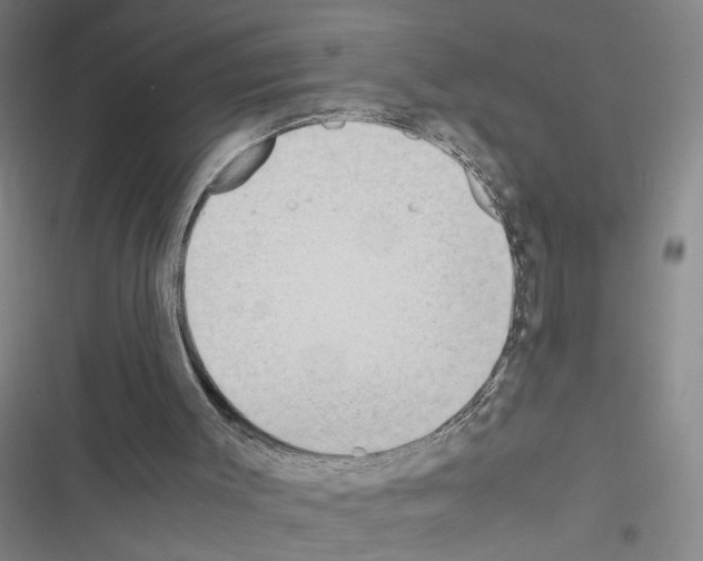 X0000116460003201001201310