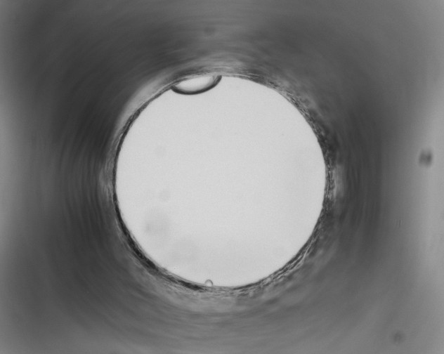 X0000116460004201001201310