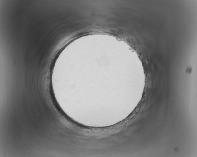 X0000116460005201001201310
