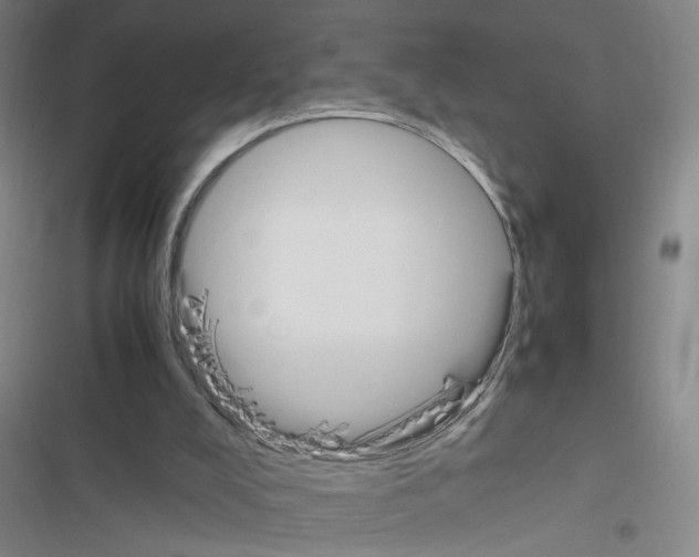 X0000116460008201001201310