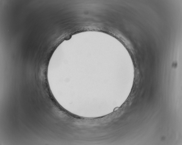 X0000116460009201001201310