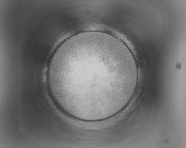 X0000116460010201001201310