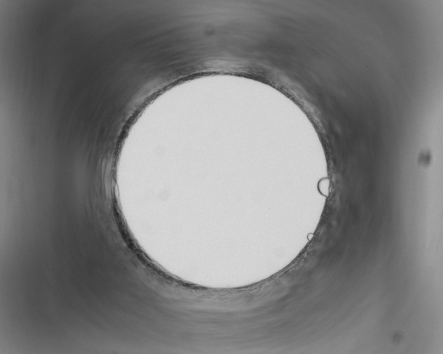 X0000116460011201001201310