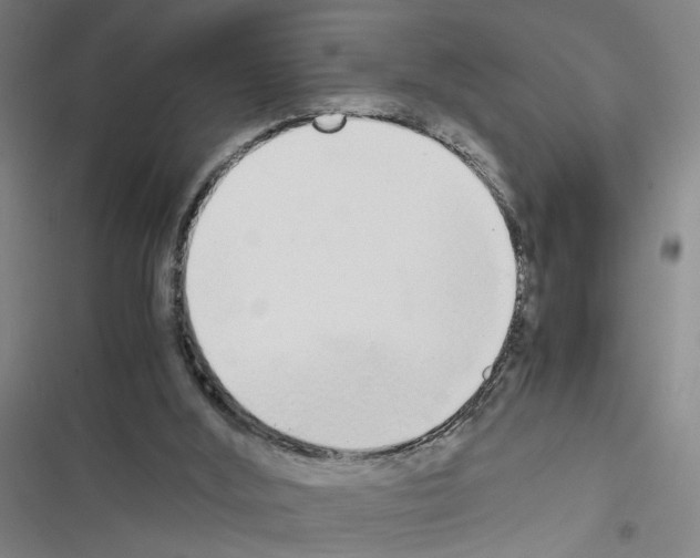 X0000116460012201001201310