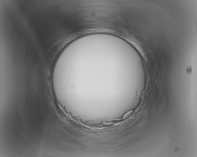 X0000116460013201001201310