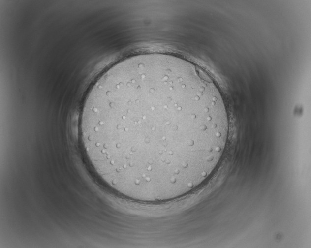 X0000116460014201001201310