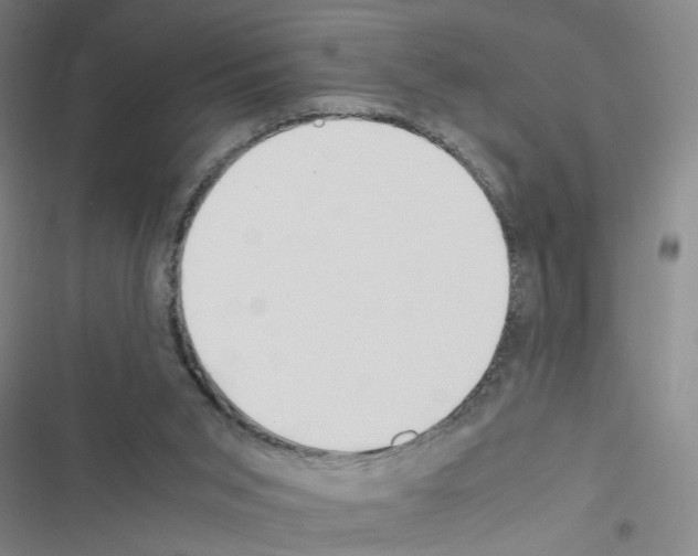 X0000116460015201001201310