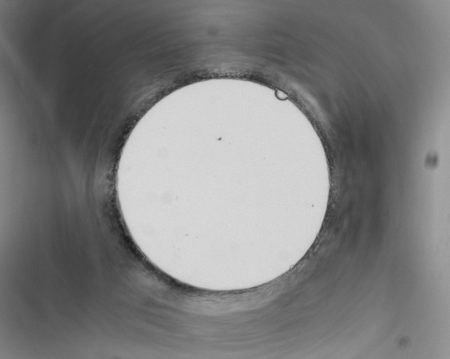 X0000116460017201001201310
