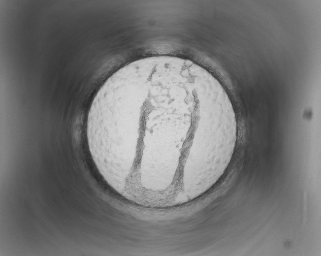 X0000116460018201001201310