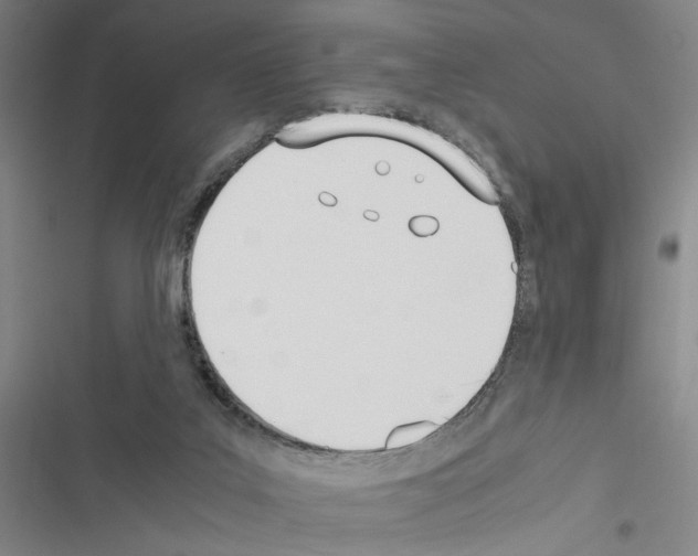X0000116460019201001201310