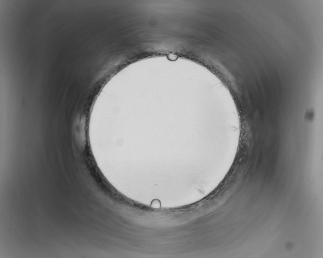 X0000116460020201001201310