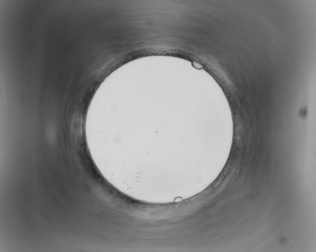 X0000116460021201001201310