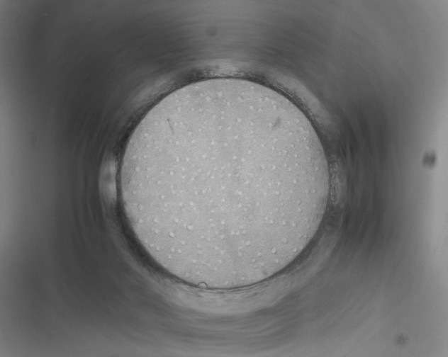 X0000116460022201001201310