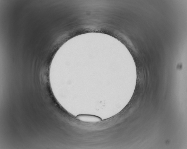 X0000116460023201001201309