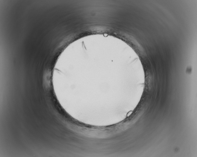 X0000116460024201001201309