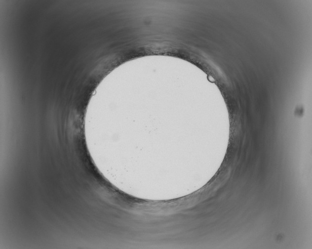 X0000116460025201001201309