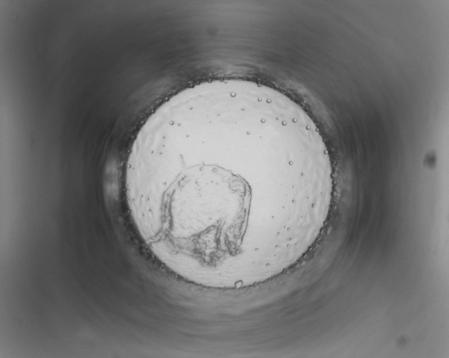 X0000116460026201001201309