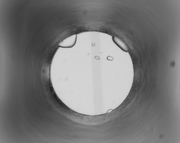 X0000116460027201001201309