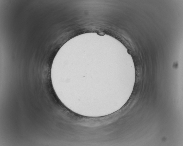 X0000116460029201001201309