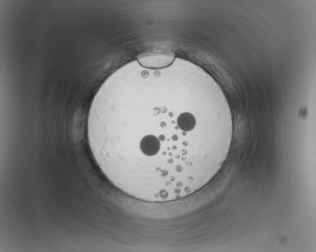 X0000116460030201001201309
