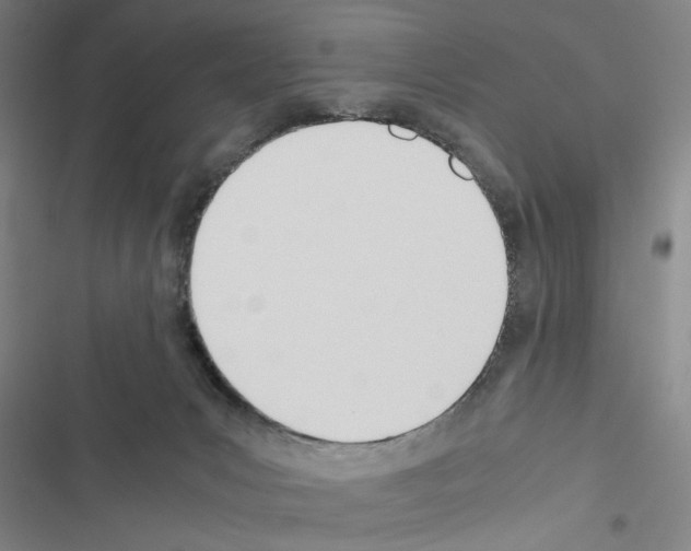 X0000116460031201001201309