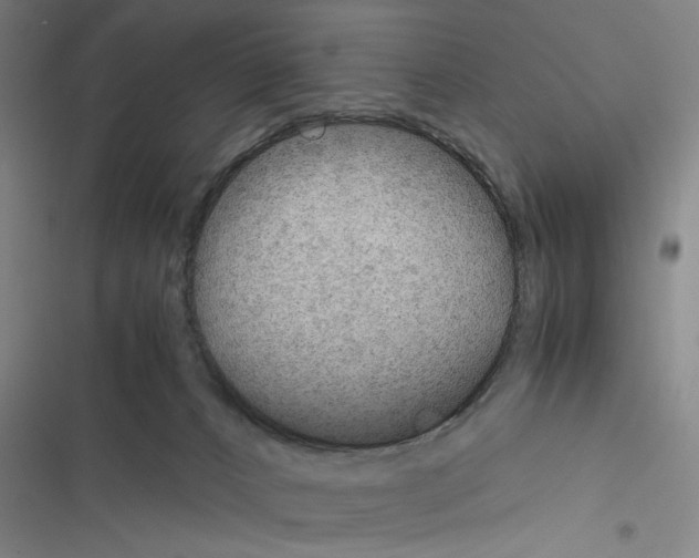 X0000116460032201001201309